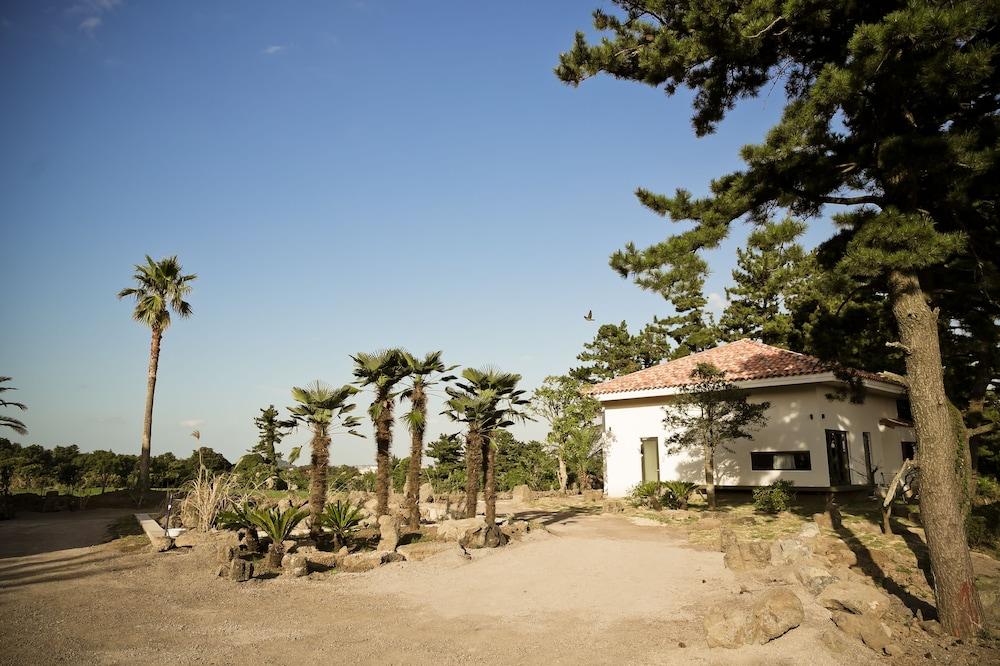 Color In Jeju Pension Exterior photo